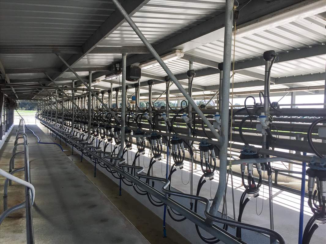 Milking Systems