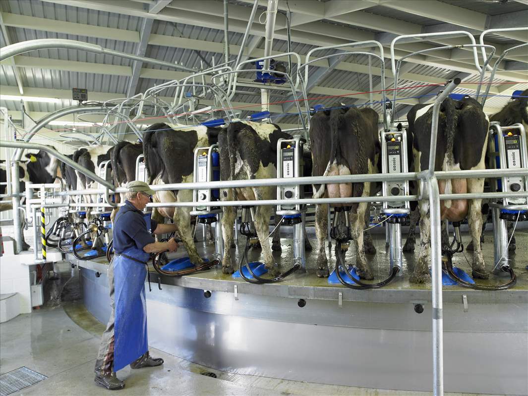 Rotary Milking Parlours