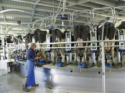 Rotary Milking Parlours
