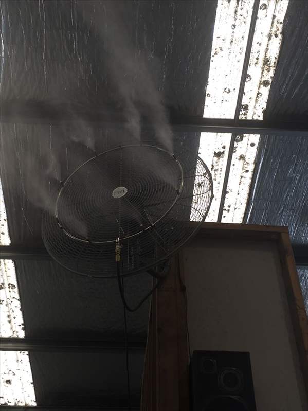 Misting Fans Operating in Robotic Shed 1.jpg