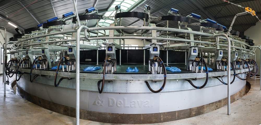 Milking Shed Install Rotary.jpg