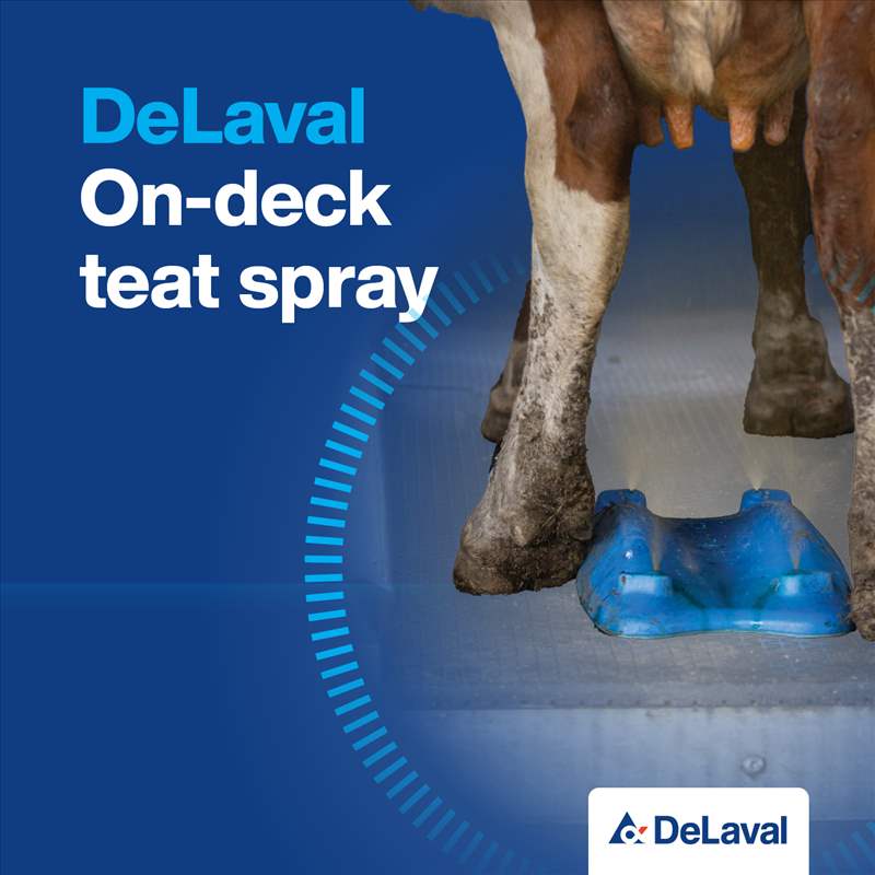 DEL0741 Animal Welfare_May_Social_1440x1440 v1a2.jpg